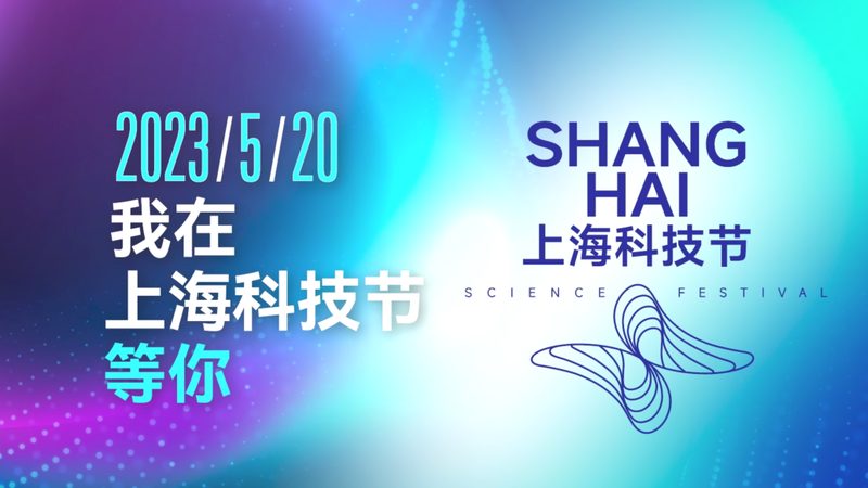 数据湖批量处理平台：揭秘其排名背后的技术逻辑
